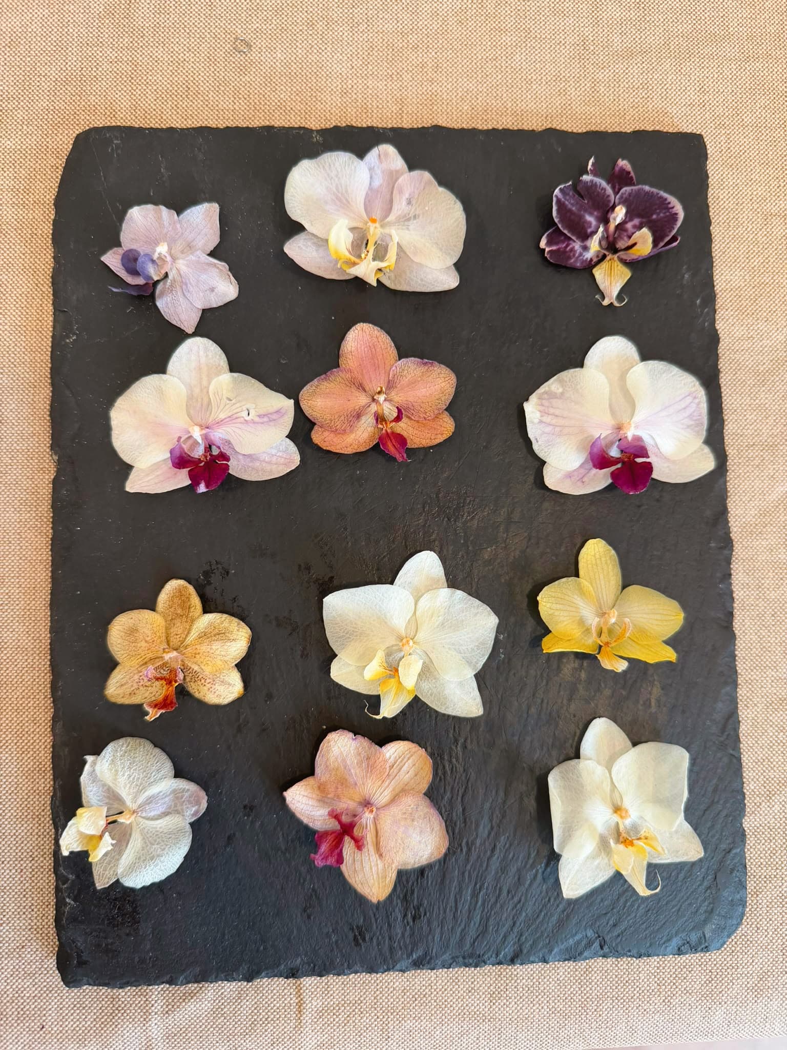 Doce orquídeas preservadas en distintos tonos colocadas sobre una pizarra